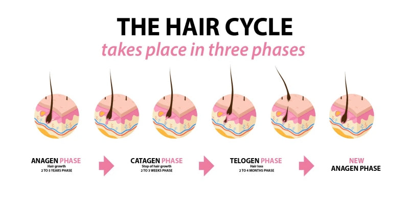 From Waiting Room to 12-Month Wait: The Long Game of Hair Transplants