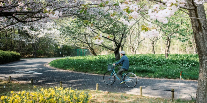 Allergy Seasons & Outdoor Time: Hair Systems That Handle Pollen, Wind & Sneezing Without Extra Products