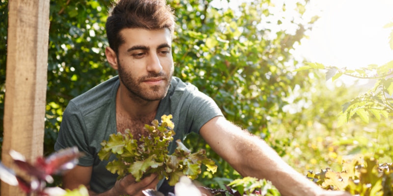 Gardeners & DIYers — Hair Systems for Soil, Gloves, Outdoor Work & Quick Cleanups